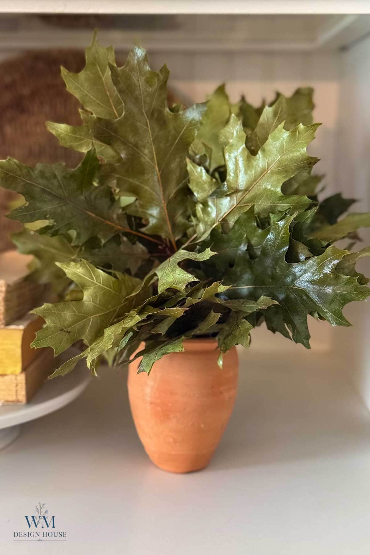 A bouquet of green oak leaves in a terracotta vase.